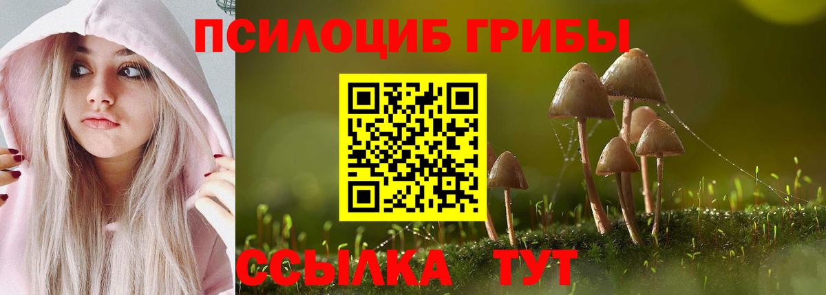 Галлюциногенные грибы Magic Shrooms Черногорск