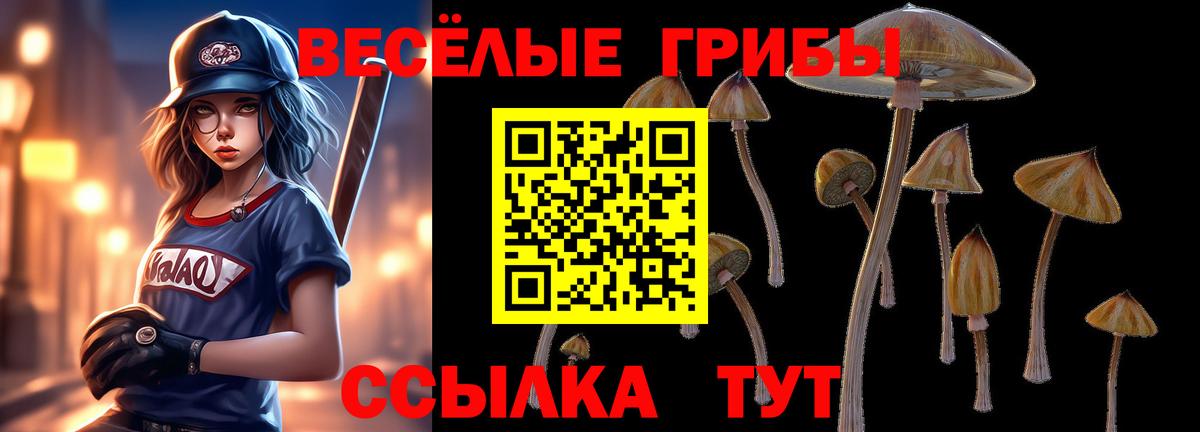 Галлюциногенные грибы ЛСД  Вход с VPN  Черногорск 